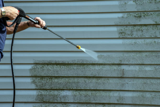 Best House Pressure Washing  in Eaton Rapids, MI