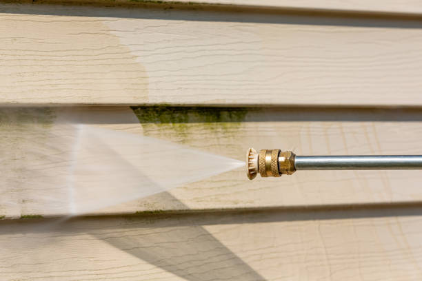 Best Roof Power Washing Services  in Eaton Rapids, MI